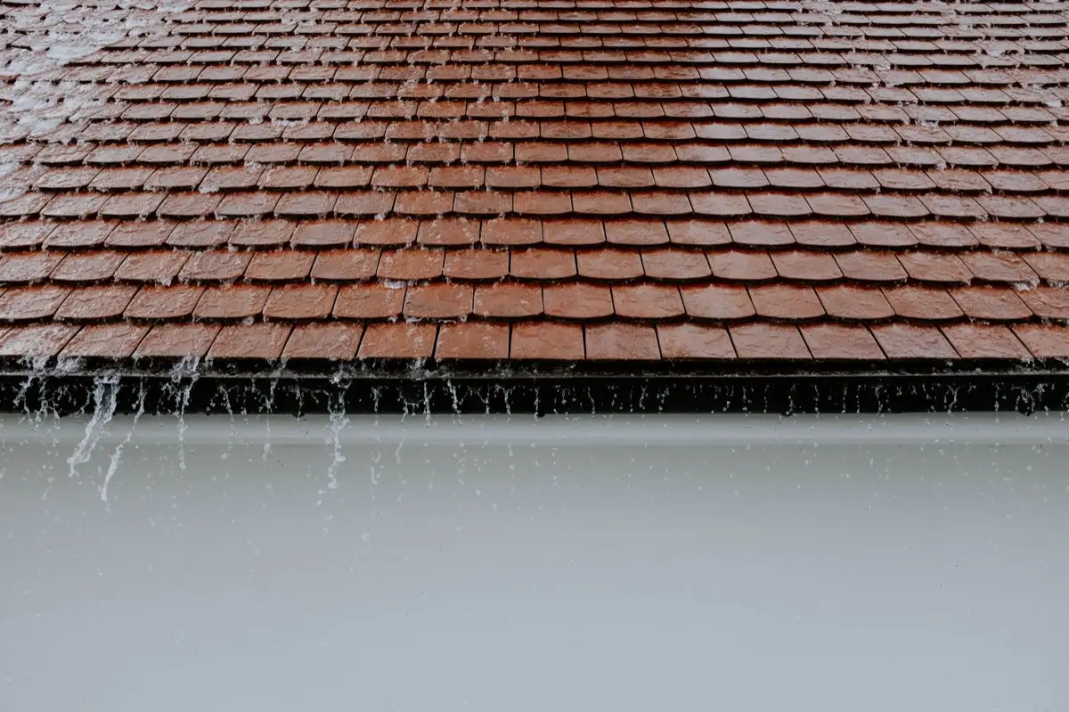 Gutters & Downspouts in Palestine, TX